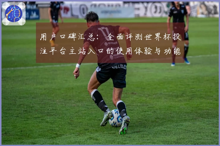 用户口碑汇总：全面评测世界杯投注平台主站入口的使用体验与功能介绍