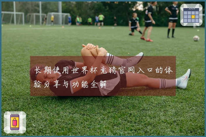 长期使用世界杯竞猜官网入口的体验分享与功能全解