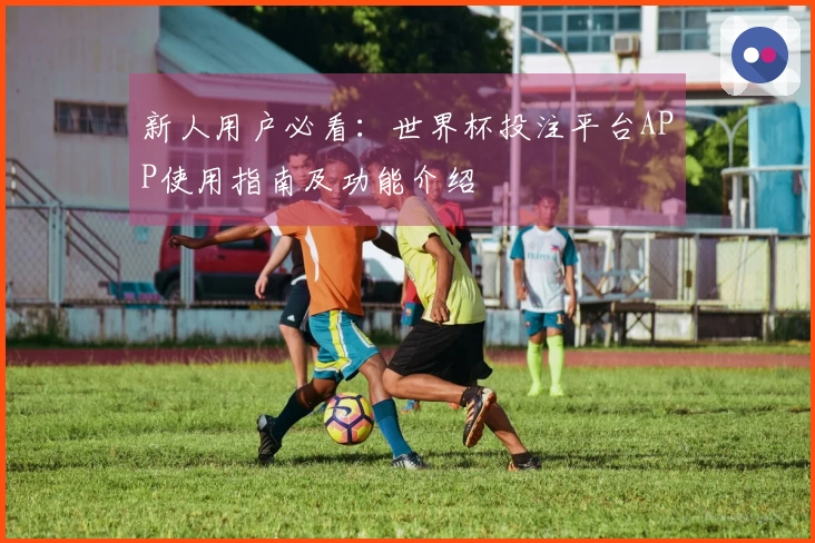 新人用户必看:世界杯投注平台APP使用指南及功能介绍