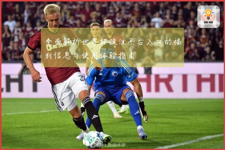 全面解析世界杯投注平台入口的福利信息与使用体验指南