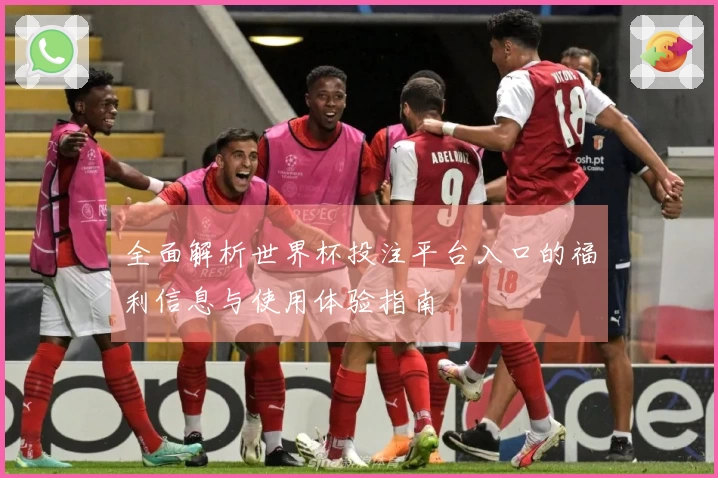 全面解析世界杯投注平台入口的福利信息与使用体验指南