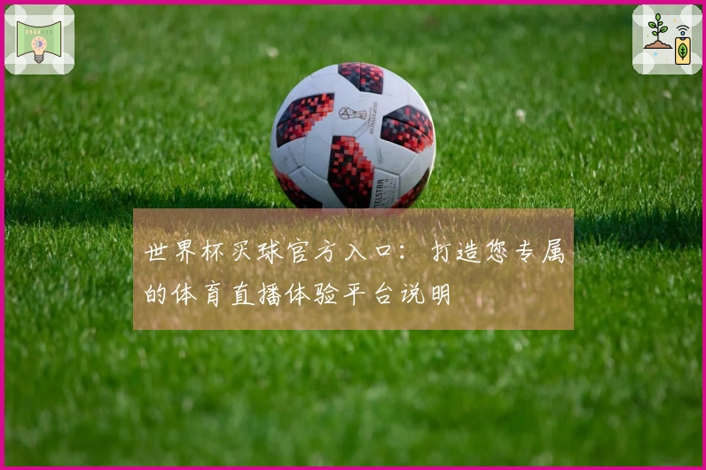 世界杯买球官方入口：打造您专属的体育直播体验平台说明